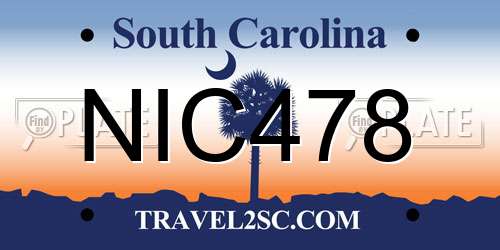 NIC478 South Carolina License Plate