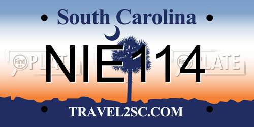 NIE114 South Carolina License Plate