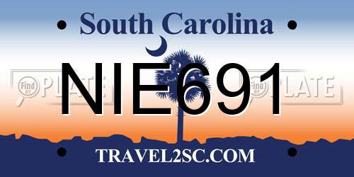 NIE691 South Carolina License Plate