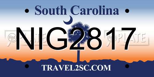 NIG2817 South Carolina License Plate