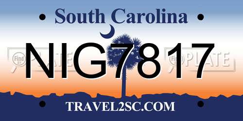 NIG7817 South Carolina License Plate