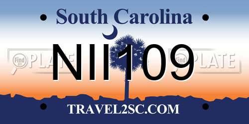 NII109 South Carolina License Plate
