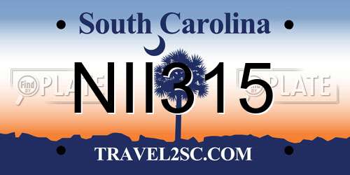 NII315 South Carolina License Plate