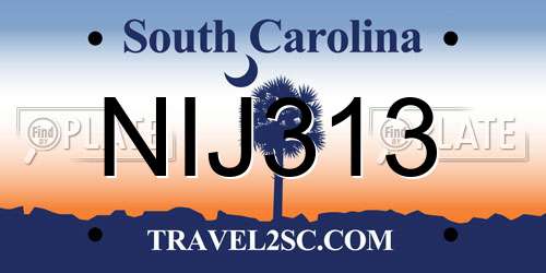 NIJ313 South Carolina License Plate