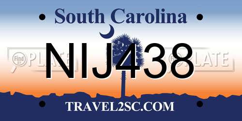 NIJ438 South Carolina License Plate