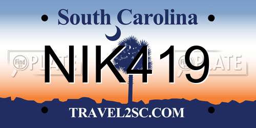 NIK419 South Carolina License Plate