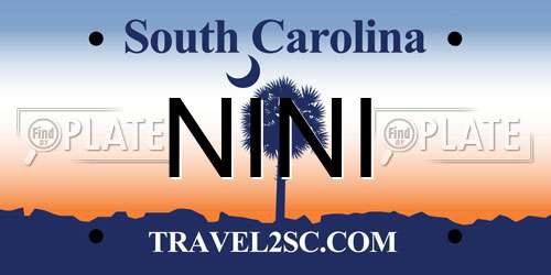 NINI South Carolina License Plate