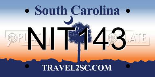 NIT143 South Carolina License Plate