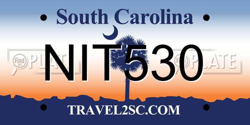 NIT530 South Carolina License Plate
