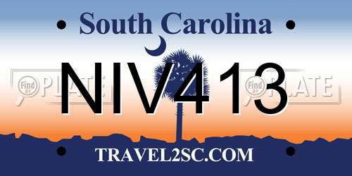 NIV413 South Carolina License Plate