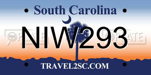 NIW293 South Carolina License Plate