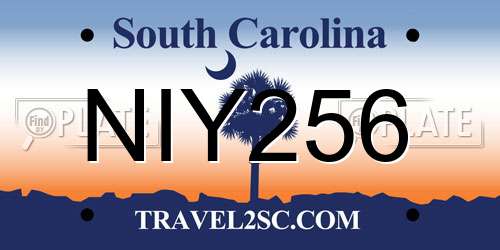 NIY256 South Carolina License Plate