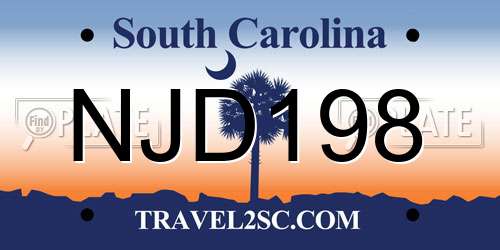 NJD198 South Carolina License Plate