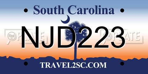 NJD223 South Carolina License Plate