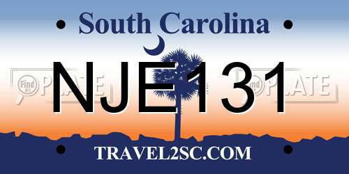 NJE131 South Carolina License Plate