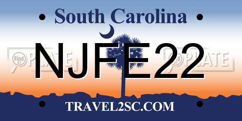 NJFE22 South Carolina License Plate