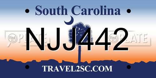 NJJ442 South Carolina License Plate