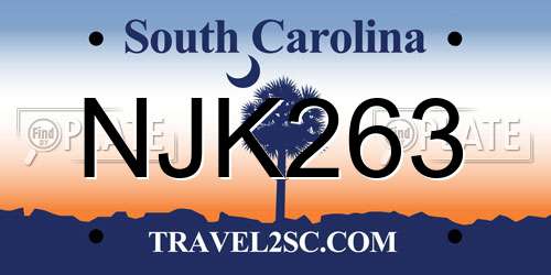 NJK263 South Carolina License Plate