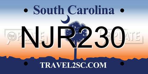 NJR230 South Carolina License Plate