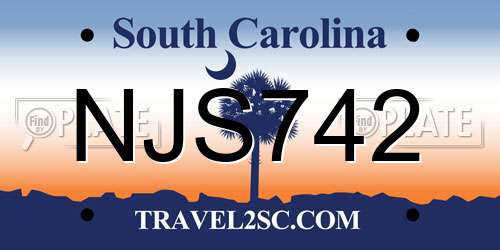 NJS742 South Carolina License Plate