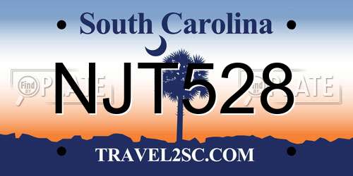 NJT528 South Carolina License Plate