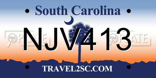 NJV413 South Carolina License Plate