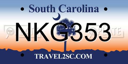 NKG353 South Carolina License Plate
