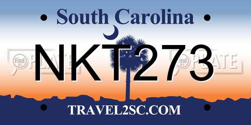 NKT273 South Carolina License Plate