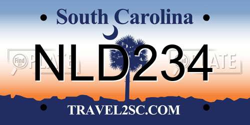 NLD234 South Carolina License Plate