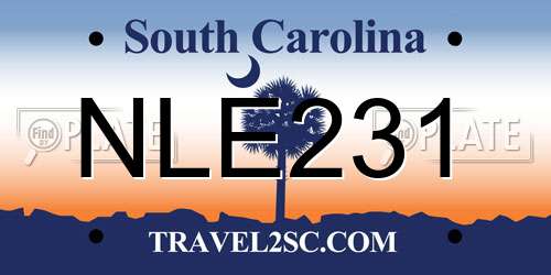 NLE231 South Carolina License Plate
