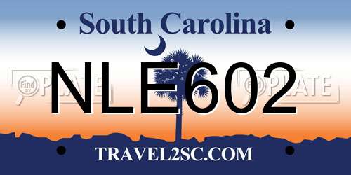 NLE602 South Carolina License Plate