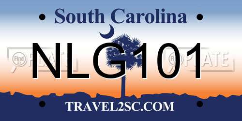 NLG101 South Carolina License Plate