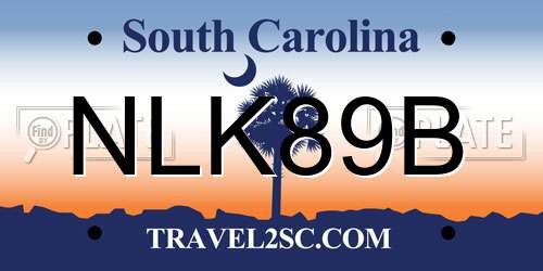NLK89B South Carolina License Plate