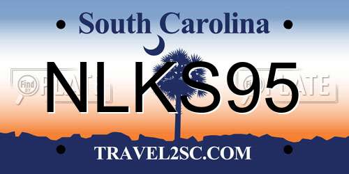 NLKS95 South Carolina License Plate