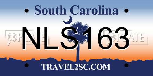 NLS163 South Carolina License Plate