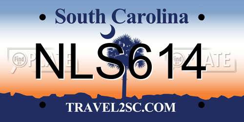 NLS614 South Carolina License Plate