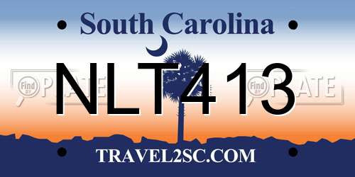 NLT413 South Carolina License Plate