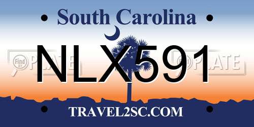 NLX591 South Carolina License Plate