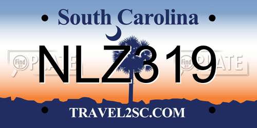 NLZ319 South Carolina License Plate