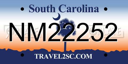 NM22252 South Carolina License Plate