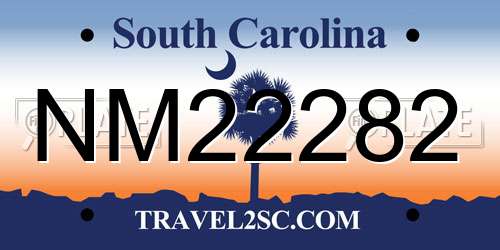 NM22282 South Carolina License Plate