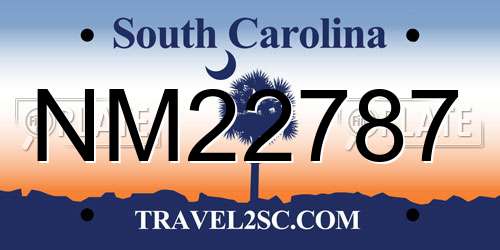 NM22787 South Carolina License Plate