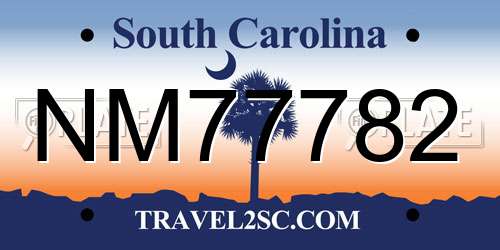 NM77782 South Carolina License Plate