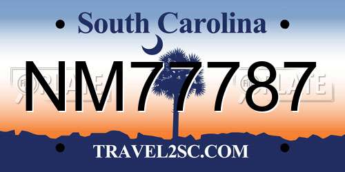 NM77787 South Carolina License Plate