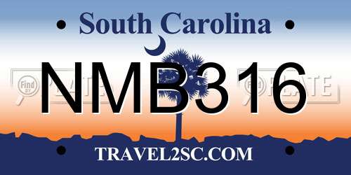 NMB316 South Carolina License Plate