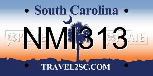 NMI313 South Carolina License Plate