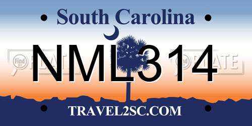 NML314 South Carolina License Plate