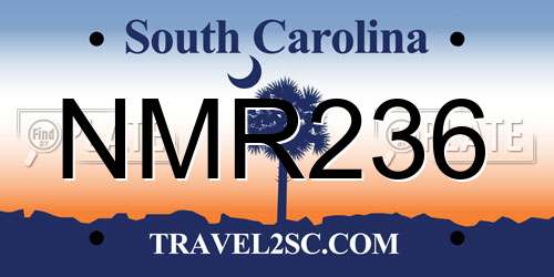 NMR236 South Carolina License Plate