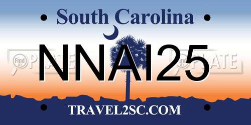 NNAI25 South Carolina License Plate