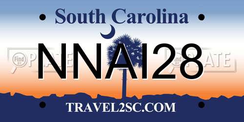 NNAI28 South Carolina License Plate